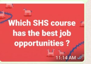 Which Senior High Courses are more advantageous in this era of ours which will in turn creat job opportunity for the applicant?