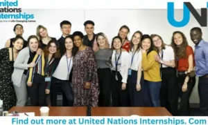 UN internship