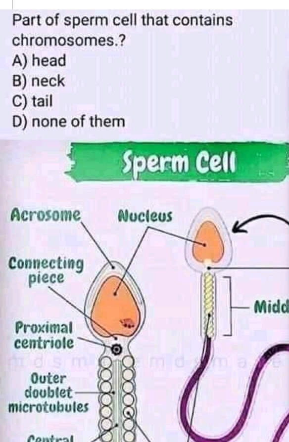 Short Note on science
