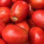 Tomato