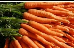 Benefits of carrot