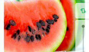Watermelon fruit and seeds. Picture of pieces of  watermelon with seeds