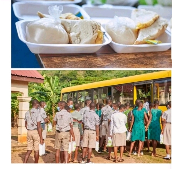 Spiritual Benefits of Cassava: Get big, hard and long d!ck plus other Benefits.