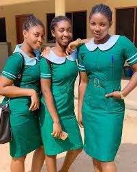 Nurses Urgently needed for Employment into a very reputable health facility.
