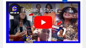 Fool!sh and Stup!d People Your Visas are ready but you would Never Get them- Ambassador Portia Asare Boateng. Check Video and to Portia Asare