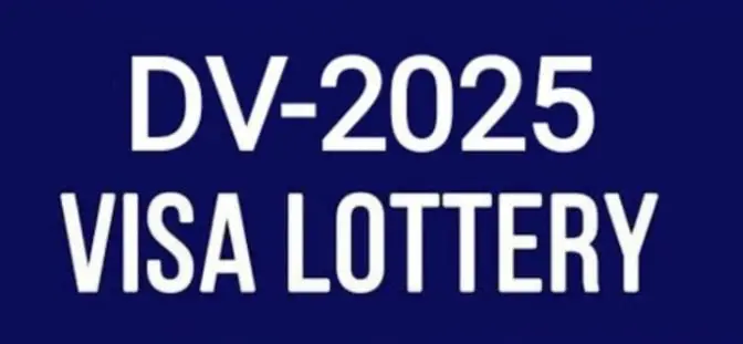 DV visa lottery application