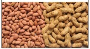 Effect of groundnuts on diabetes